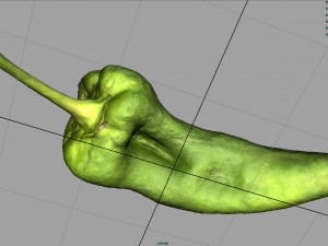 realistic pepper 3D-Modell