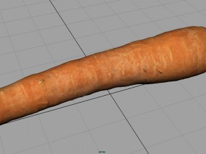 carrot 3D Model