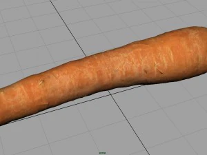 carrot 3D Model