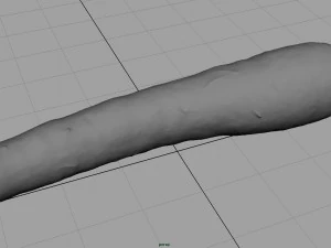 carrot 3D Model