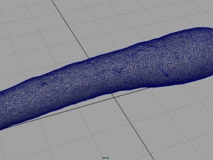 carrot 3D Model
