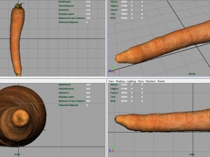 carrot 3D Model