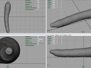 carrot 3D Model