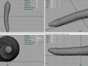 carrot 3D Model