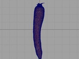 carrot 3D Model