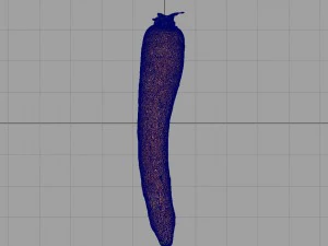 carrot 3D Model