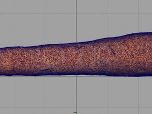 carrot 3D Model