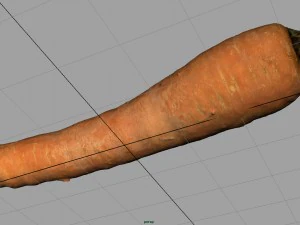 carrot 3D Model