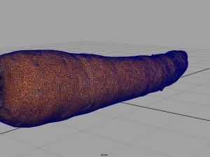 carrot 3D Model