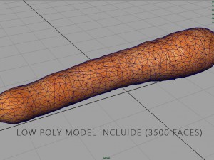 carrot 3D Model