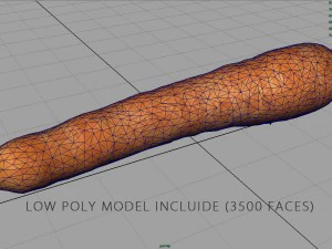 carrot 3D Model