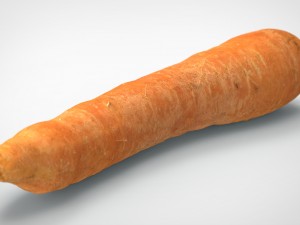 carrot 3D Model