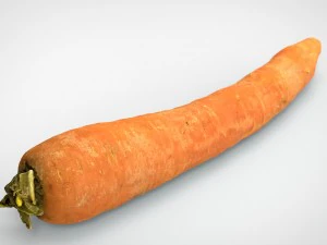 carrot 3D Model