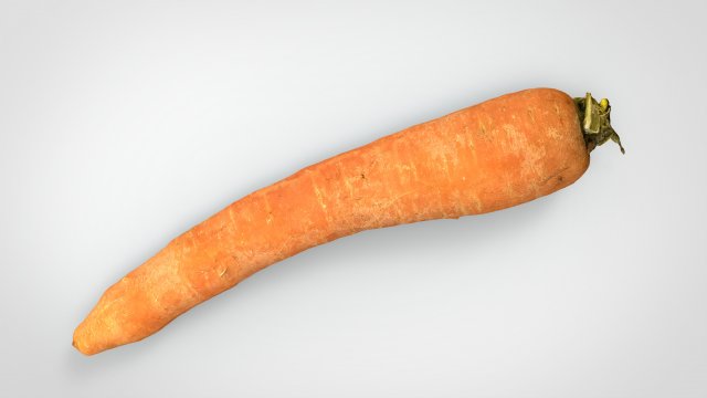 carrot 3D Model .c4d .max .obj .3ds .fbx .stl .blend 