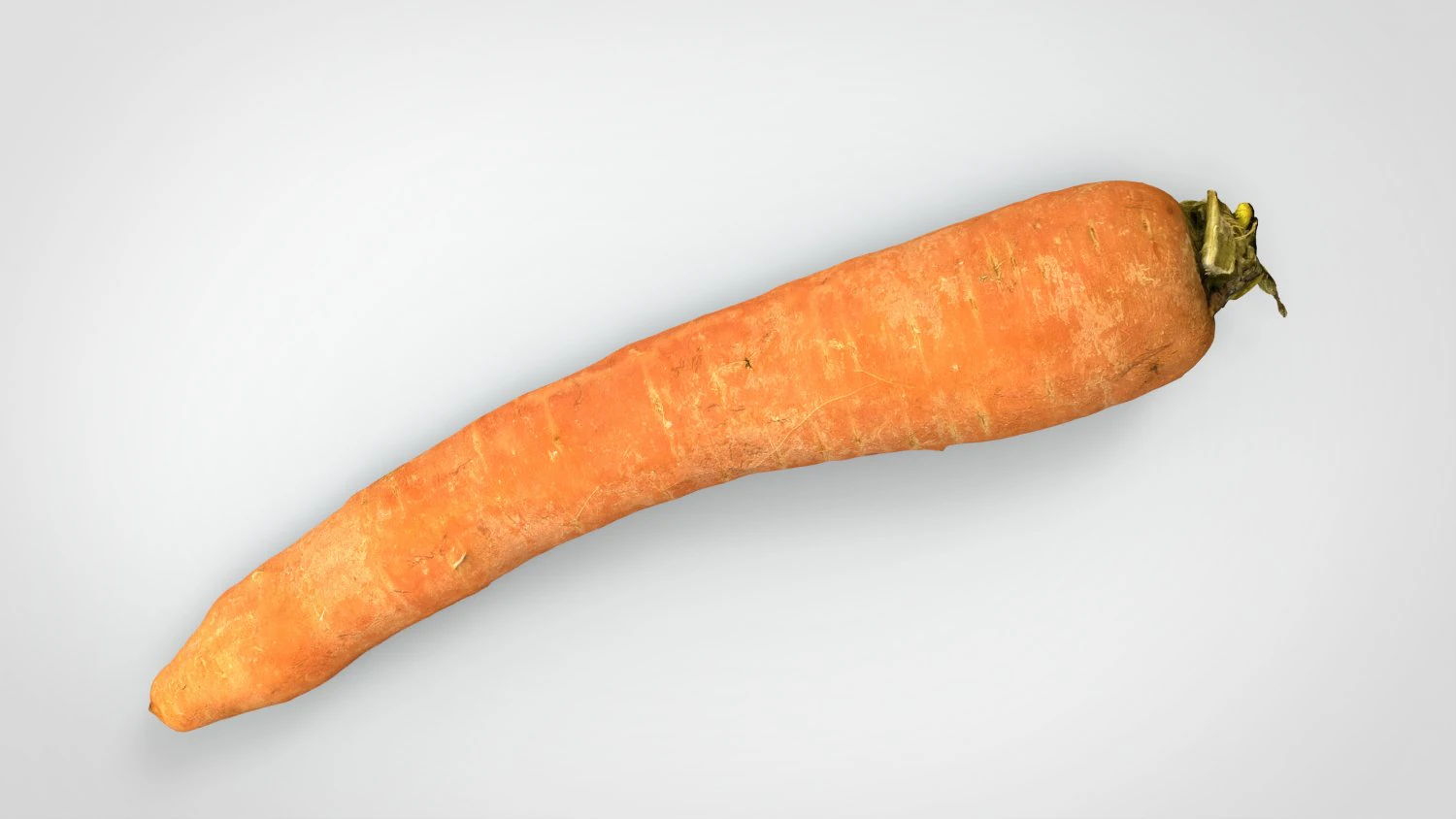 carrot 3D Model .c4d .max .obj .3ds .fbx .stl .blend 