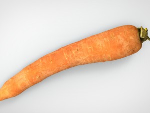 carrot 3D मॉडल