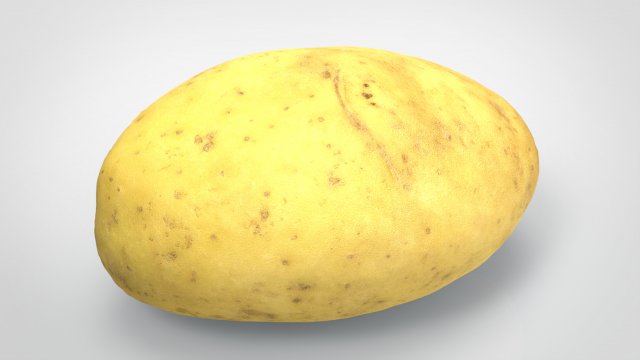 potato 3D Model .c4d .max .obj .3ds .fbx .stl .blend 