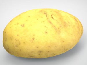 potato 3D Model