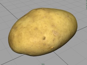 potato 3D Model