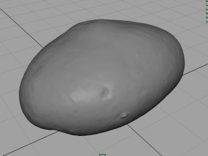 potato 3D Model