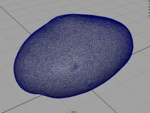 potato 3D Model