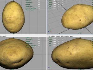 potato 3D Model
