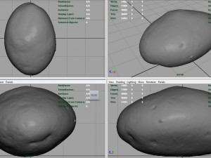 potato 3D Model