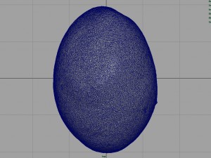 potato 3D Model
