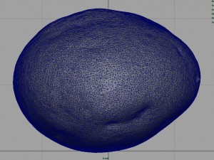 potato 3D Model
