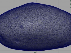 potato 3D Model