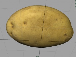 potato 3D Model