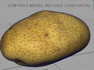 patata Modello 3D