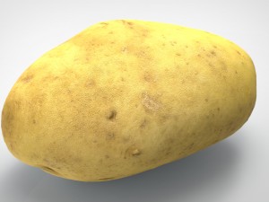 potato 3D Model