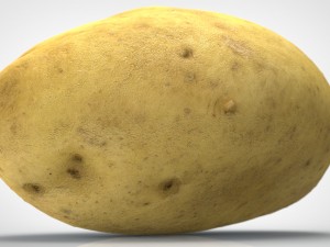 potato 3D Model