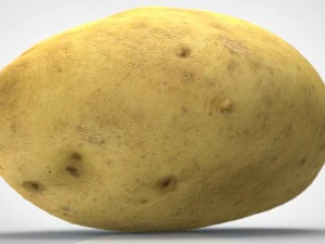 patata Modello 3D