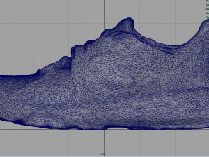 female sport sneakers 3D Model