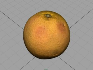 orange 3D Model