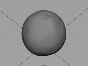 orange 3D Model