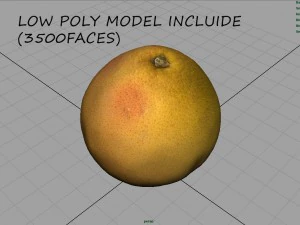 orange 3D Model
