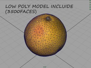 orange 3D Model
