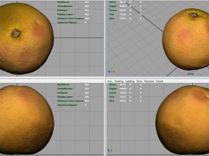 orange 3D मॉडल
