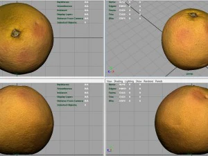 orange 3D Model