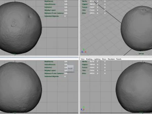 orange 3D Model