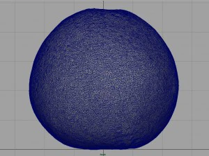 orange 3D Model
