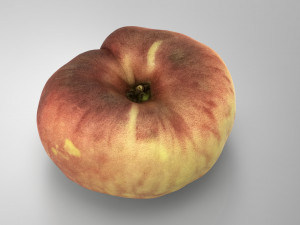saturn peach 3D मॉडल