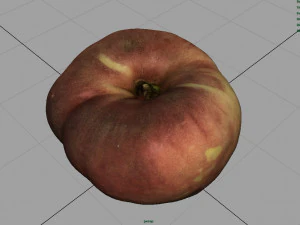 brzoskwinia saturnowa Model 3D