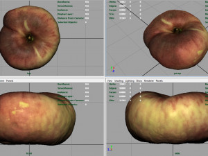 saturn peach 3D मॉडल