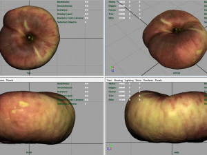 brzoskwinia saturnowa Model 3D