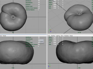 brzoskwinia saturnowa Model 3D