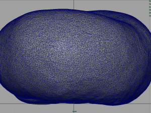 saturn peach 3D मॉडल